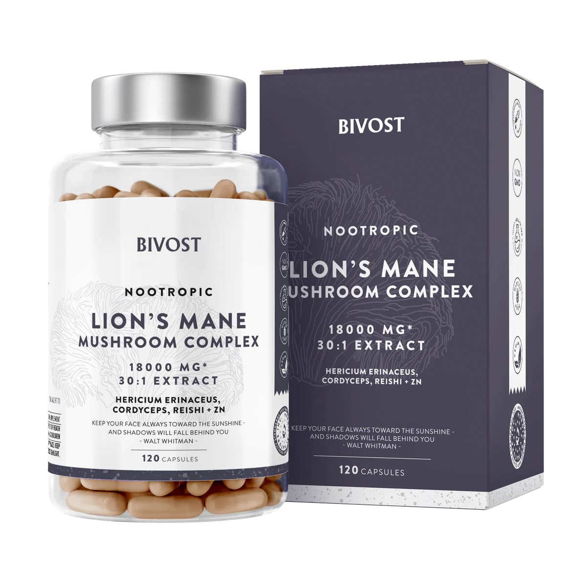 LION´S MANE MUSHROOM COMPLEX