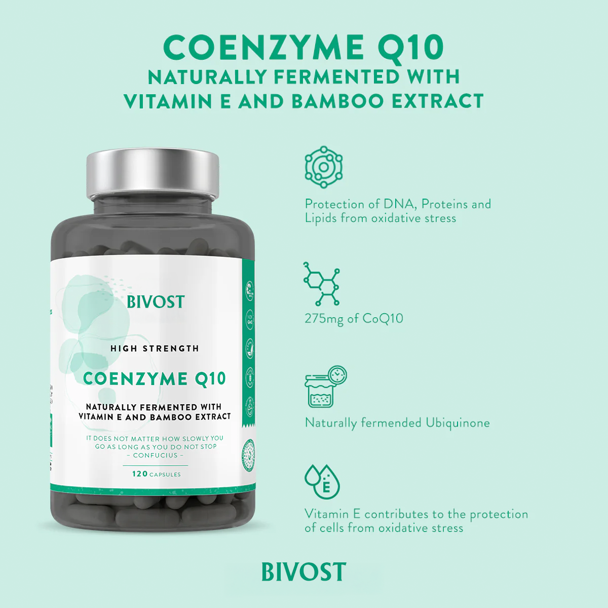 COENZYME Q10